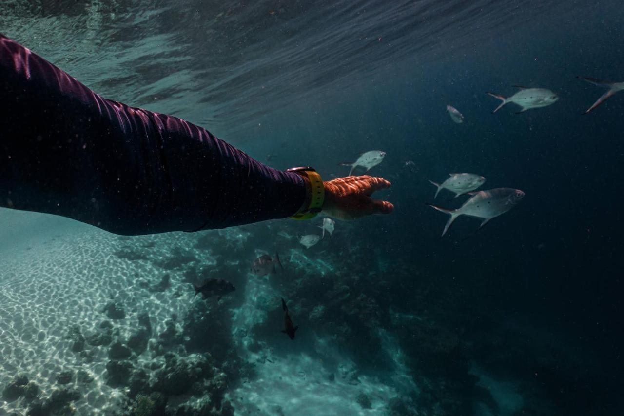 Sun Siyam Iru Veli - 24 Hours Premium All-Inclusive With Free Transfers Hulhudheli Exteriér fotografie
